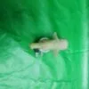 Клапан одинарный Indesit 132121186 контакты
