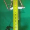 116840c8-f7f9-4618-a872-3e27c2d9d0af Тэн (водонагреватель) MIELE 05304730 для посудомоечной машины