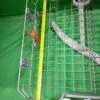 Верхняя корзина Indesit Ariston С00307039 для пмм 60см