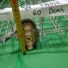 DPWlz9wgnz59HDrSuTLpUaPU5bNG_jsPfyitIw8KAyB0KdGgzsCwl99lBhtAStLaYIxDgZTWLdRiUcTTEOZ5opTw Верхняя корзина Bosch 771812 для пмм 60см.