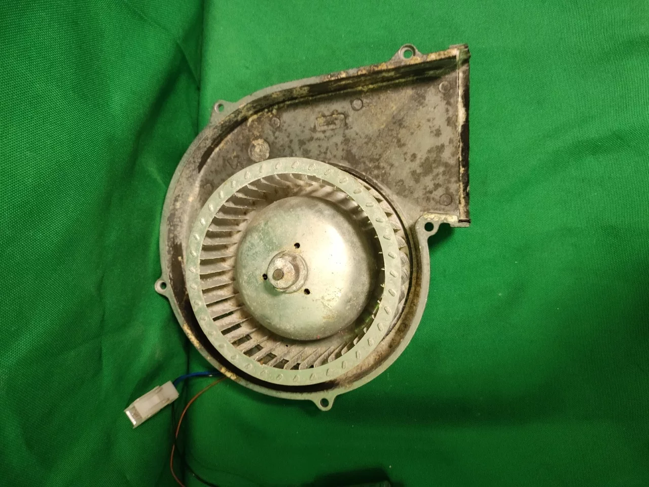 Мотор сушки Bosch R2E133-BF49-07 для стиральной машины