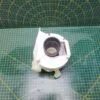 Рециркуляционный насос Electrolux A07440301 в сборе