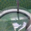 Люк Indesit C00270980 сред.черный