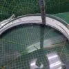 IMG_20251112_105829 Люк Indesit C00480533 серая ручка средний 48см