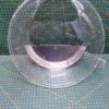 IMG_20251112_122800 Защитное стекло люка Bosch Neff 9981684