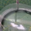 Люк Whirlpool 481818438