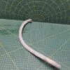 Патрубок Ariston A769448 для пмм