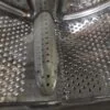 Барабан Candy Hoover 41013450