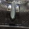 Бак в сборе Electrolux 3484159938  Только самовывоз!