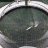 Люк Beko 2878300100-2 с дефектом царапина