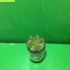 Сетевой фильтр Candy F 55.047/606 Сетевой фильтр Candy F 55.047/606