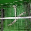 Верхняя корзина Indesit Ariston C002910161 для пмм 60см