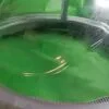 Люк Electrolux L20117483 сер