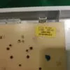 Модуль Indesit WISL 83 для стиральной машины