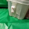 Бункер соли Beko Kuppersberg 175241-00 для пмм
