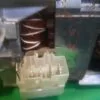 db0f5b62-779e-45f4-9eb8-3ac75be1735d Насос рециркуляционный Miele 014493 для ПММ