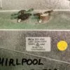 Тэн сушки Whirlpool W10477523 для сушильной машины