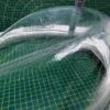 Люк Electrolux 132868