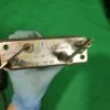 Тэн сушки Bosch 17312 для стиральной машины