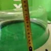 Люк в сборе Indesit C00270556  Сер обрамление глуб