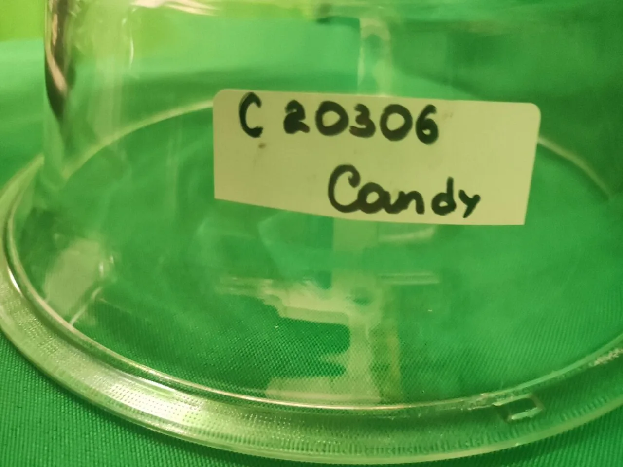 Стекло люка Candy C 20306