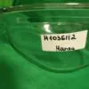 Стекло люка Hansa H1036112