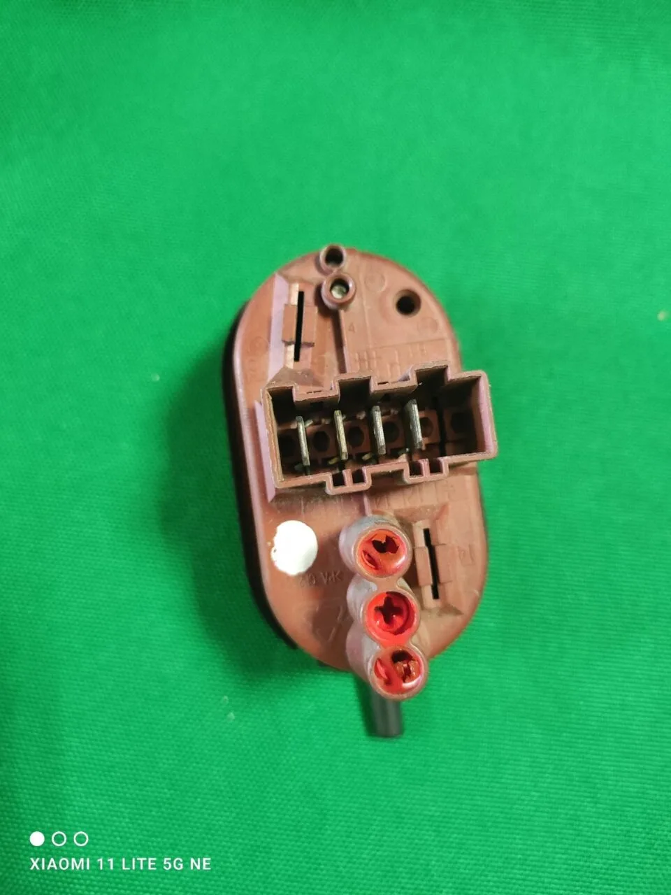 Прессостат Bosch 5500002839