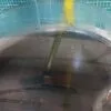 Люк Ariston C 0020012 петля