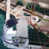 Проводка Bosch WAS 24743OE